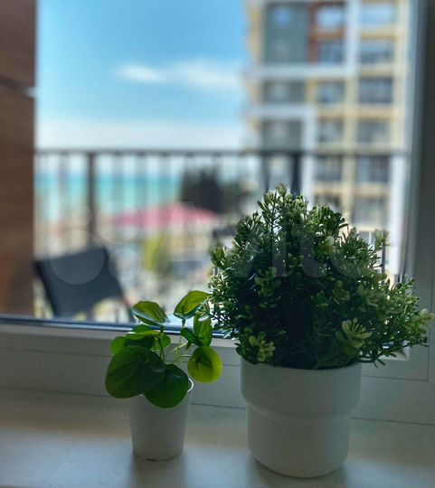 Квартира-студия, 30 м², 7/13 эт.