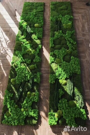 Картина,панно,стена из стабилизированного мха