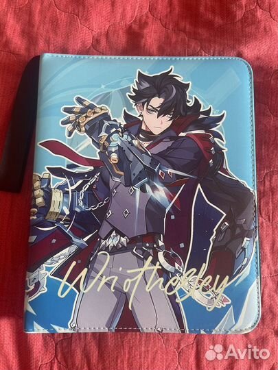 Биндер ризли