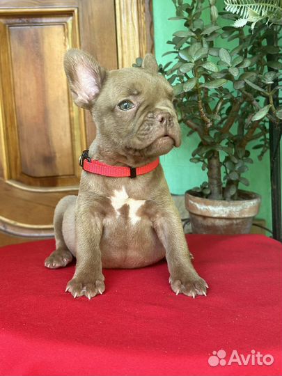 Девочка ждет Вас