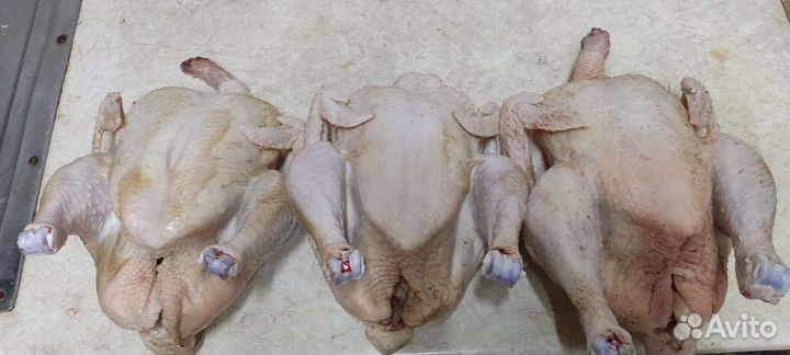 Мясо домашнего бройлера