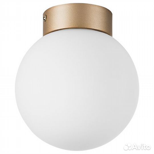 Накладной светильник Lightstar 812013 (MX8131-1B-S