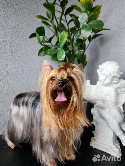 Стрижка собак и кошек