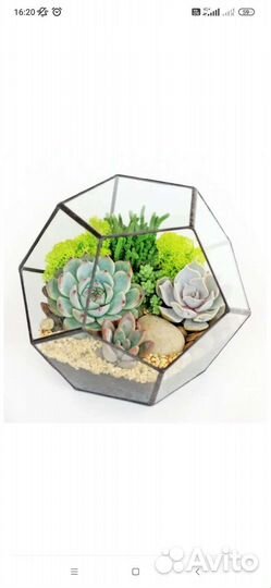 Ваза для флорариума и декоративные камни