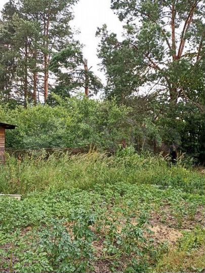 Участок 6 сот. (СНТ, ДНП)