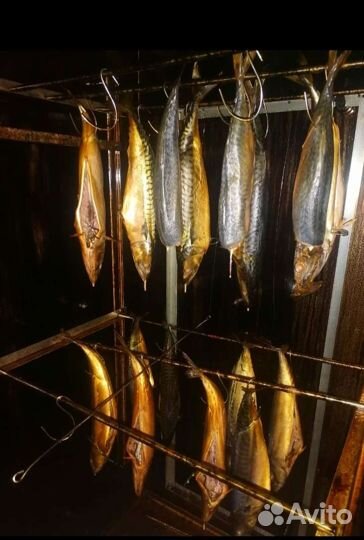 Копченая скумбрия