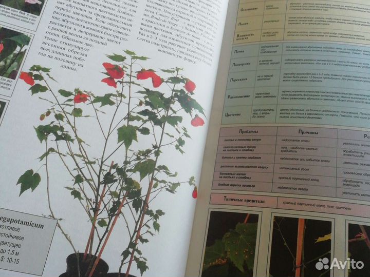 Книга про комнатные растения
