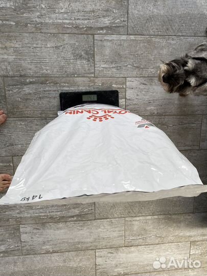 Корм для собак Royal Canin Renal 14кг. Лечебный