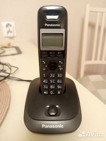 Panasonic