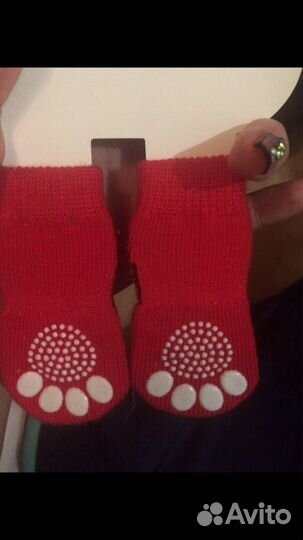 Носки для собак
