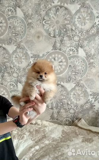 Супер детки