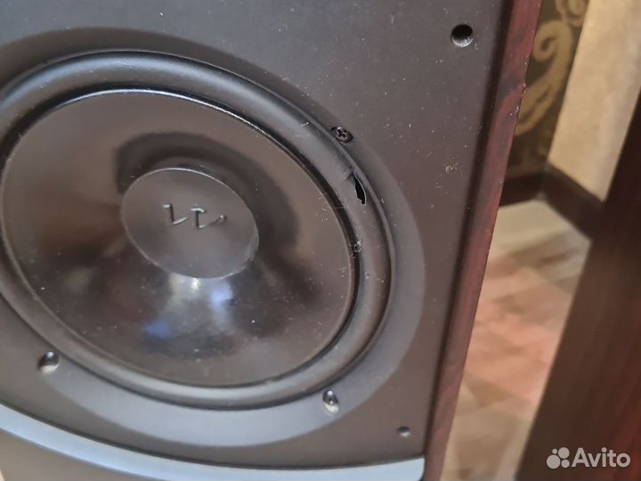 Напольная акустика wharfedale