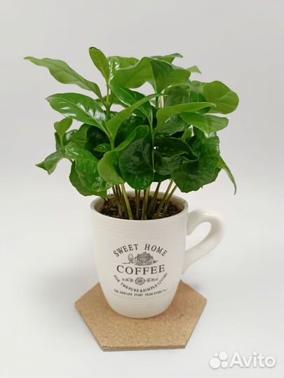 Кофе в кружке