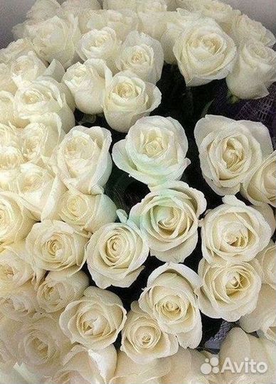 Высокие розы, букеты, цветы Доставка