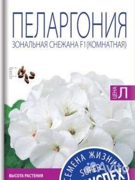 Пеларгония зональная 