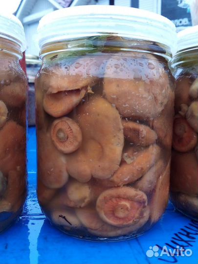 Грибы, пихтовое масло