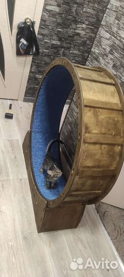 Беговое колесо для кошек