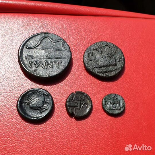 Античная монета Боспорское царство