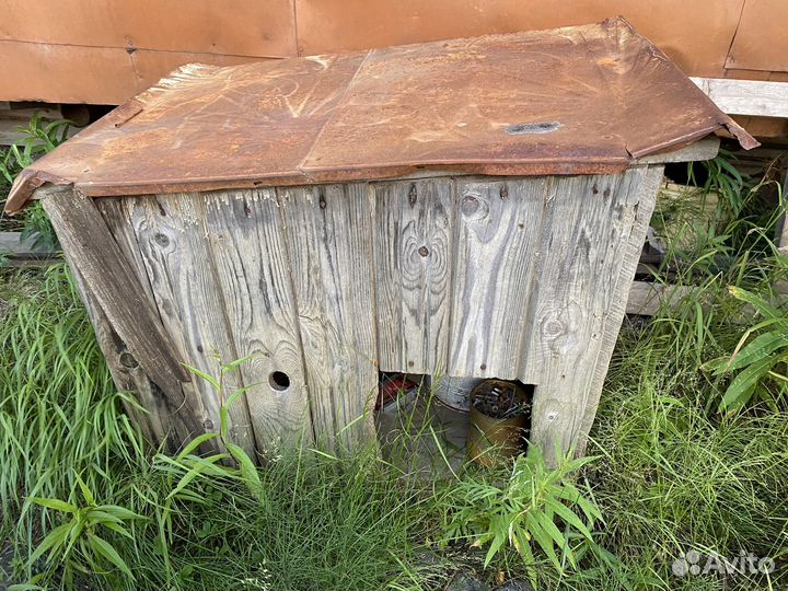 Собачья будка