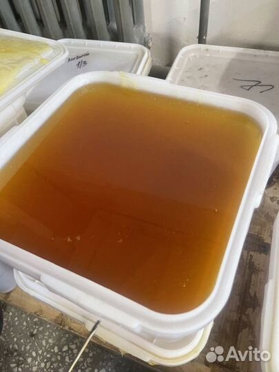 Мёд свежий цветочный сбор 2023 г Опт