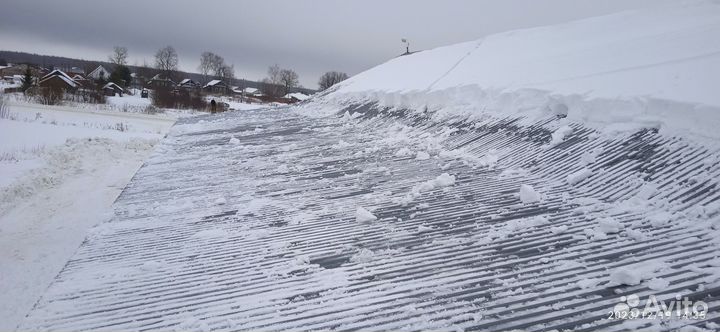 Спил деревьев. Уборка участка