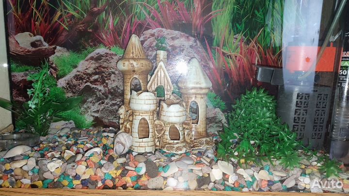 Аквариум