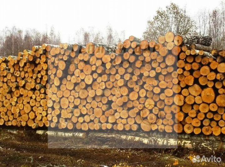 Дрова колотые