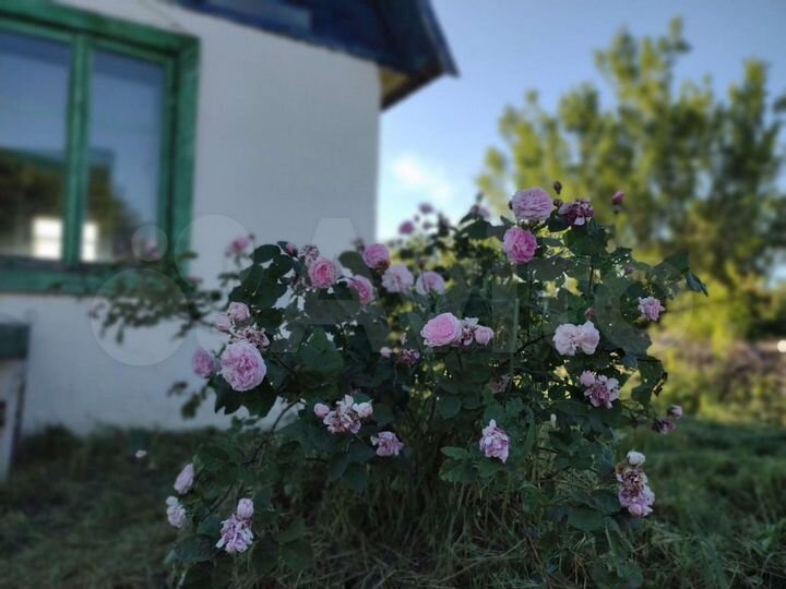 Дом 45 м² на участке 9 сот.