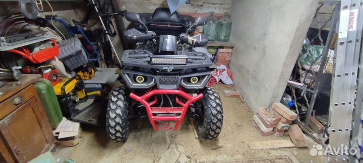 Avantis hunter 200 new