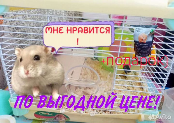 Клетка для хомяка