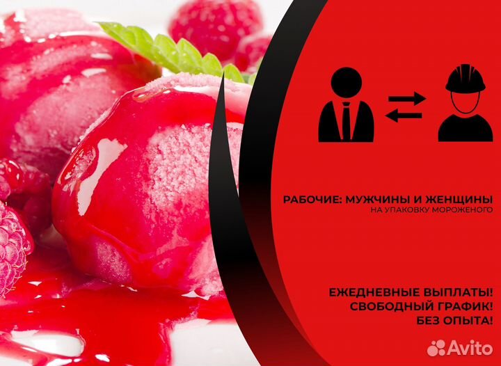 Рабочие На Упаковку Мороженого Ежедневная Оплата