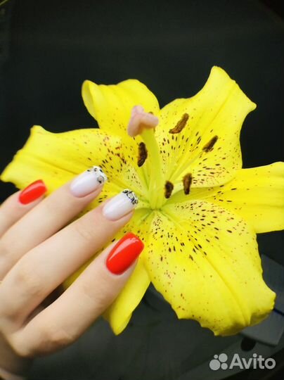 Маникюр/гель-лак/наращивание/педикюр/модели