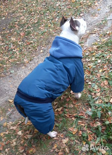 Зимний комбинезон для собак крупных пород