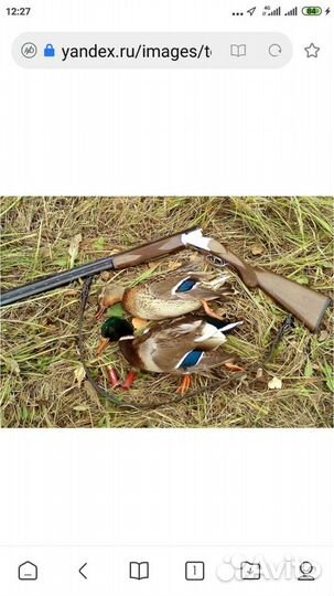 Подсадные утки