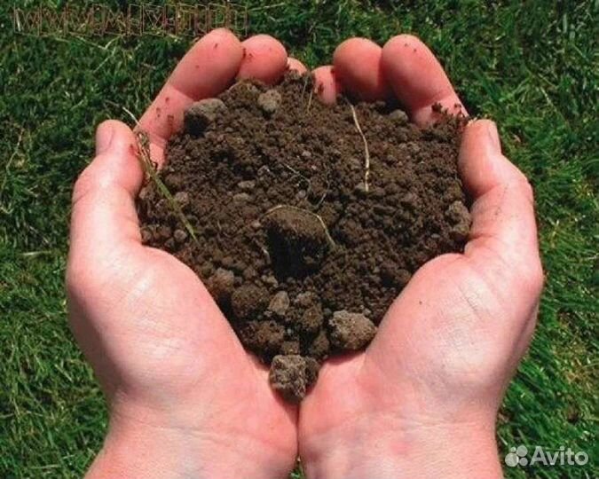 Земля, Навоз куриный, Помет куриный, Песок