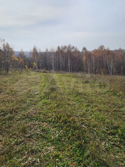 Участок 7 га (СНТ, ДНП)