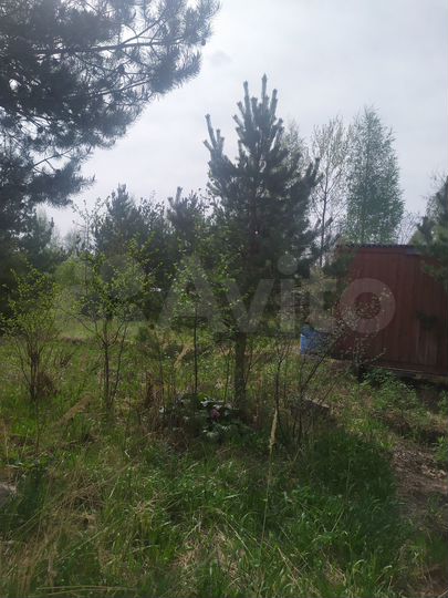 Участок 10 сот. (СНТ, ДНП)