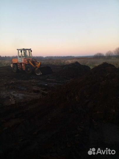 Коровяк для огорода