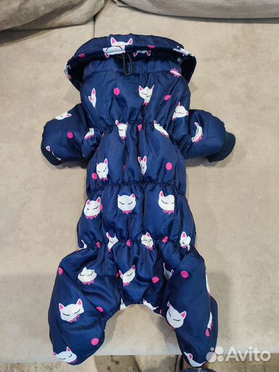 Одежда для собак. Бронь до 25.10