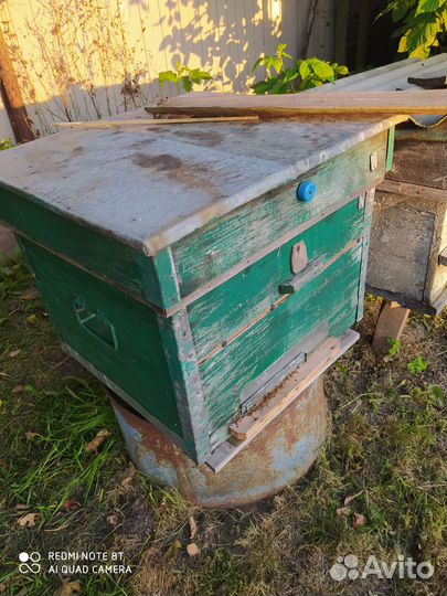 Ульи с пчелами