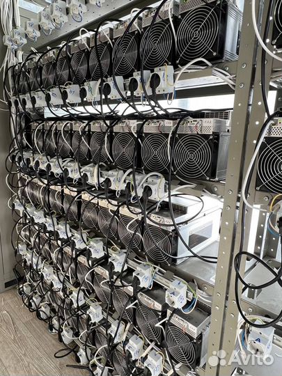 Майнинг отель / Хостинг / Размещение Асиков