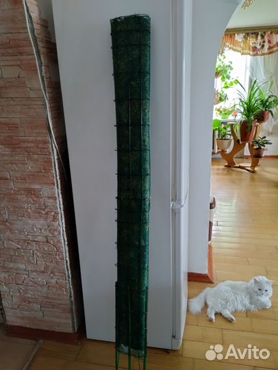 Тотем моховый гигант