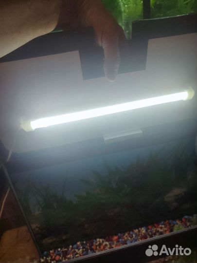 Аквариума комплекте
