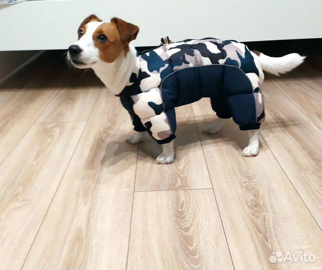 Зимний комбинезон для маленькой собаки