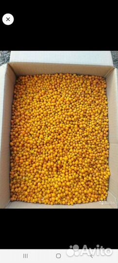 Облепиха дичка замороженная