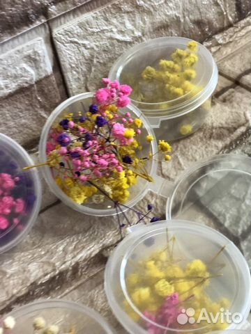 Гипсофила сухоцвет для творчества. Свечей. Саше