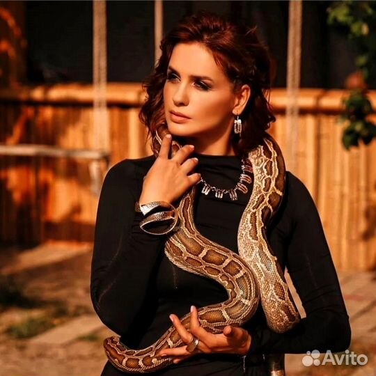 Фокусник иллюзионист с животными