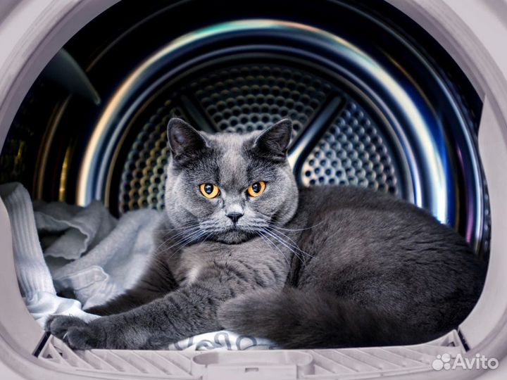 Ремонт техники