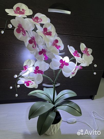 Орхидея