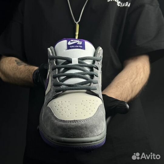 Кроссовки Nike sb Dunk low purple pigeon